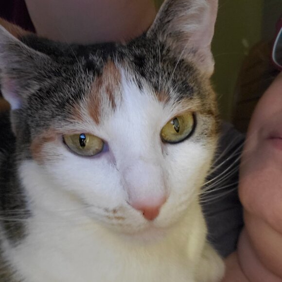 Live Notice - Picture 3 of 9